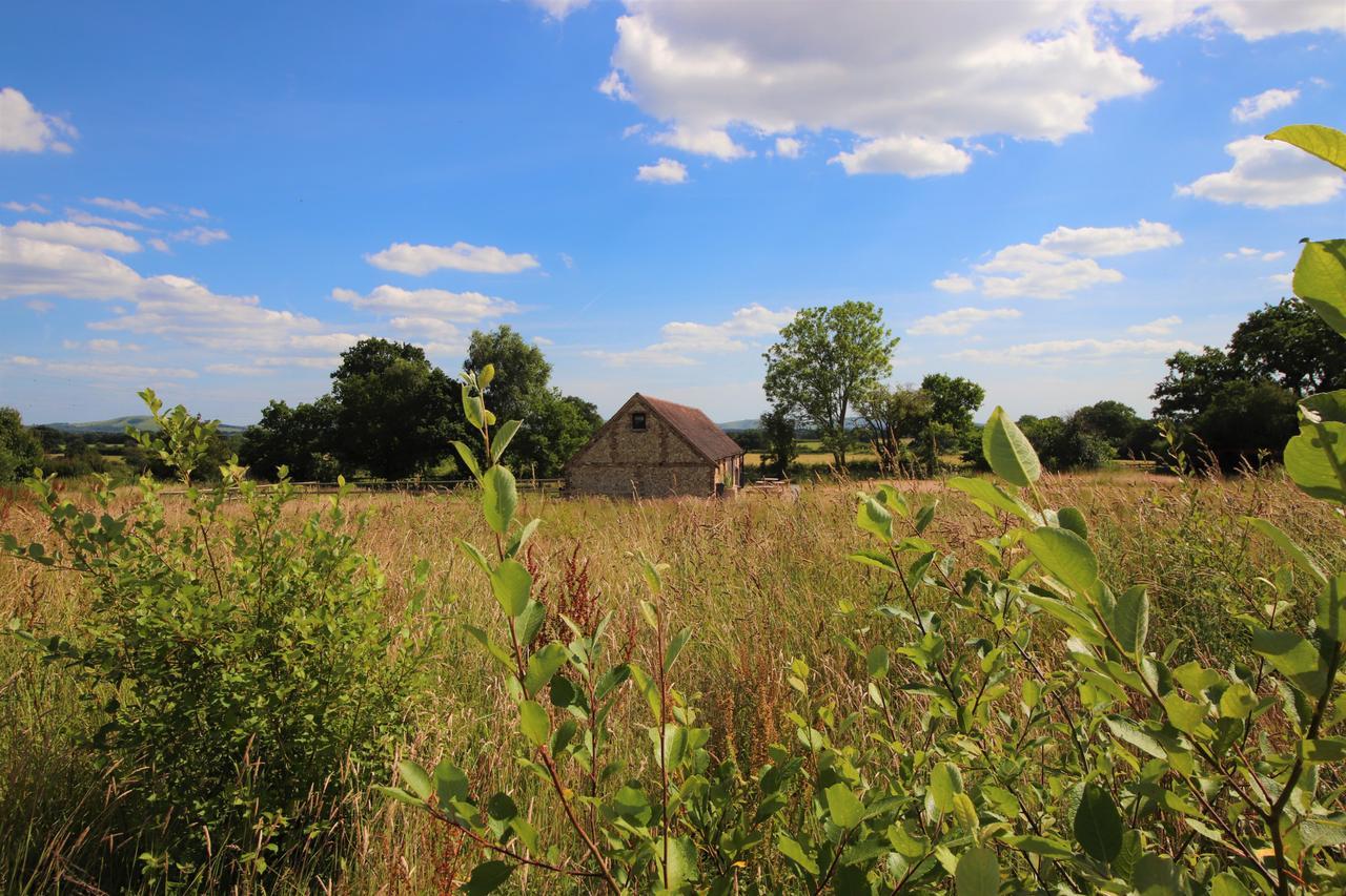 South Cottage - Rural Gem In The Heart Of The Sussex Countryside Twineham Zewnętrze zdjęcie